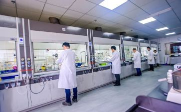化验年终工作总结精选6篇