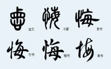 让我后悔的一件事作文5篇