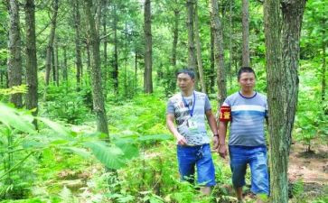 护林员总结报告5篇