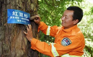生态护林员半年工作总结8篇