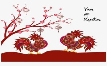 小班小鸡教案精选7篇