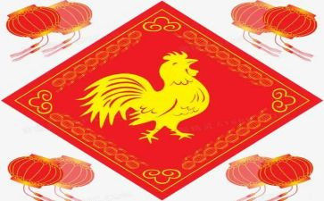 漂浮的鸡蛋的作文5篇