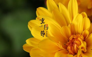 2年级元宵佳节作文5篇