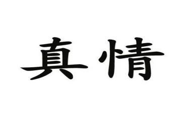 真情的作文7篇
