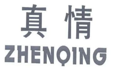 真情的作文最新6篇