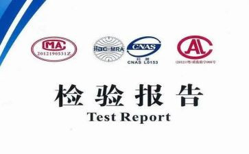 检验个人年度总结5篇