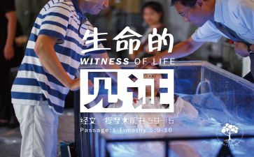 成长见证作文5篇