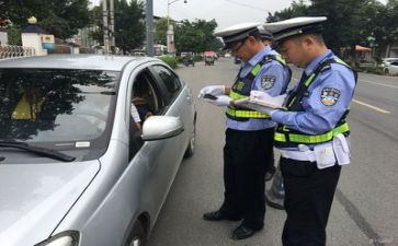 2024年度交警工作总结7篇