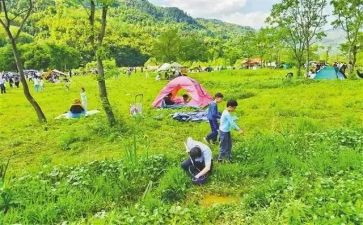 去郊游大班音乐教案8篇