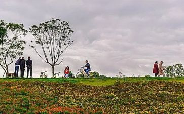 音乐《郊游》教案7篇