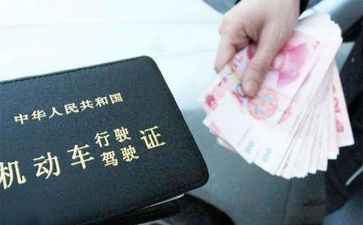 学驾照心得体会5篇