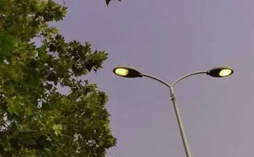借物喻人的作文500字作文7篇