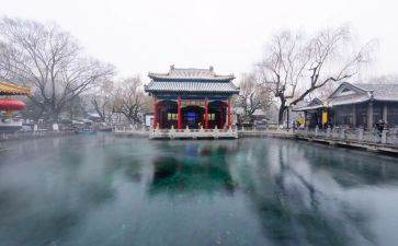 济南的泉作文600字8篇