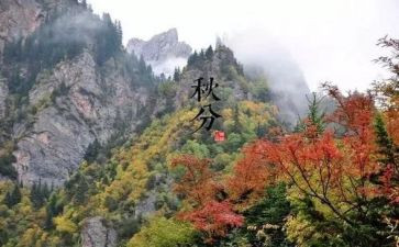 小满节气的教案5篇