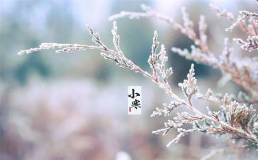 幼儿园小满节气教案5篇