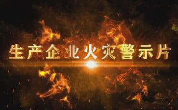 案件警示教育片心得体会6篇