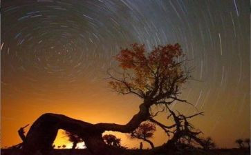 敬畏生命的作文通用6篇