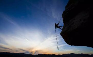 敬畏生命的作文7篇