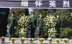 清明祭英烈活动心得体会8篇