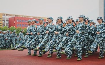 军训心得体会作文五百字6篇