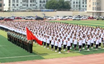 军训感想作文500字6篇
