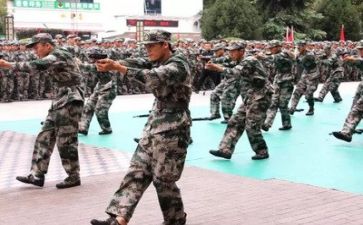 军训第4天的心得体会推荐7篇