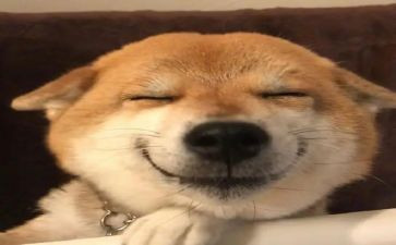 开心的作文400字最新8篇