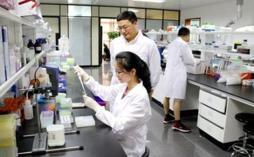 上半年科研工作总结5篇