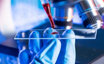 科研年终工作总结模板5篇