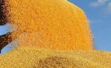 幼儿园节约粮食活动总结5篇