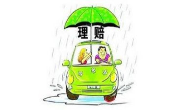 理赔员年度总结7篇