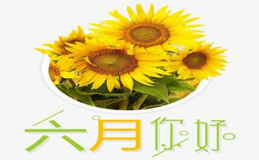 幼儿园小班六月工作计划8篇