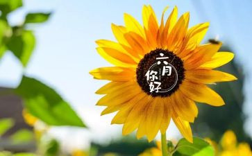幼儿园六月份工作总结5篇