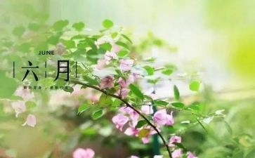 幼儿园六月份工作总结精选6篇