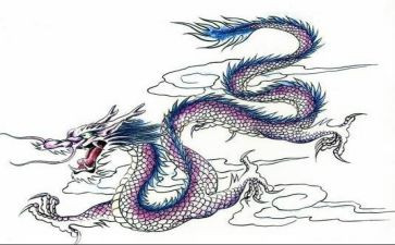 龙舟幼儿园教案5篇