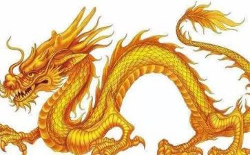划龙舟的作文6篇