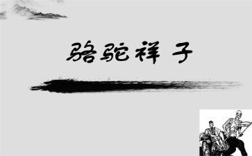 骆驼祥子5-6心得体会6篇