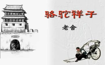 读后感《骆驼祥子》优秀6篇