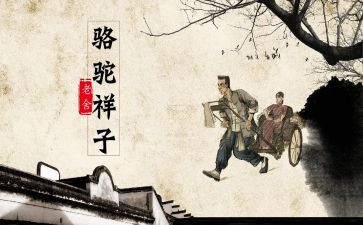 读后感《骆驼祥子》200字模板8篇