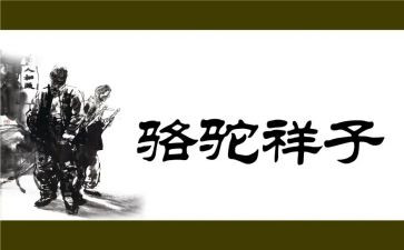 骆驼祥子序读后感优秀6篇