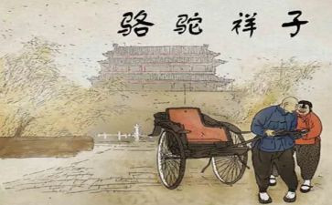 读后感《骆驼祥子》700字7篇