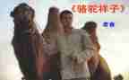 读后感《骆驼祥子》500字5篇