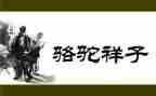 骆驼祥子序读后感优秀6篇