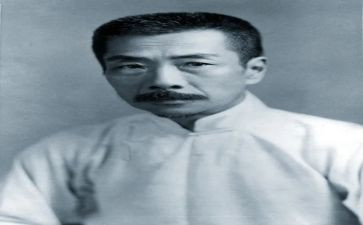 关于鲁迅的书读后感6篇