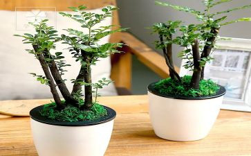 绿化工作年度工作计划6篇