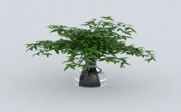 绿色家庭示范户主要事迹6篇