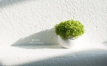 慢下来作文模板8篇