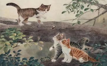 中班体育游戏《猫捉老鼠》教案7篇