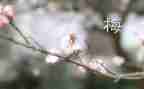 梅为题的演讲稿7篇