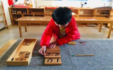 蒙氏幼儿园年度总结优秀5篇